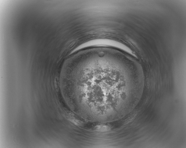 X0000067530169200604150235