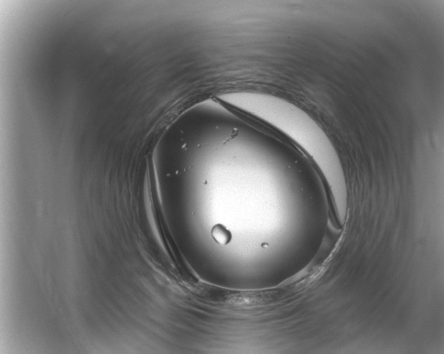 X0000067530174200604150235