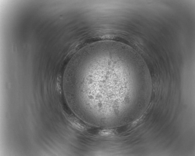 X0000067530175200604150235