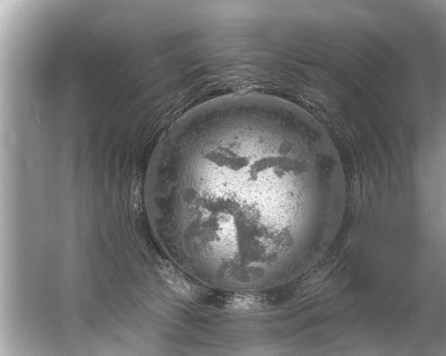 X0000067530177200604150235