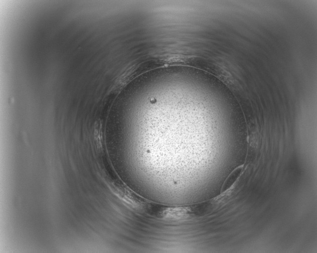 X0000067530179200604150235