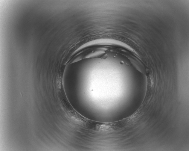 X0000067530180200604150235