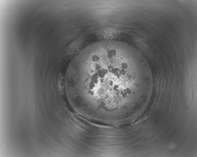 X0000067530181200604150235