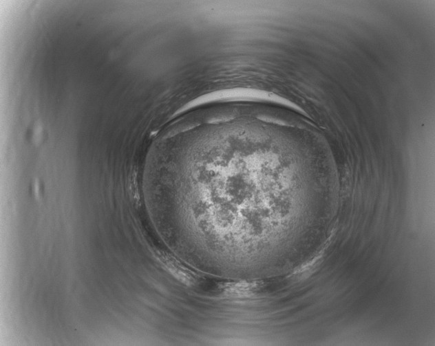 X0000067530182200604150235