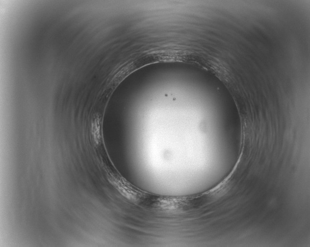 X0000067530190200604150235