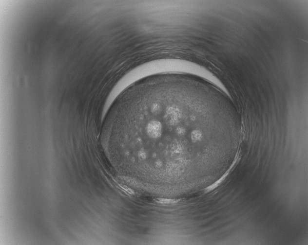 X0000067530191200604150235