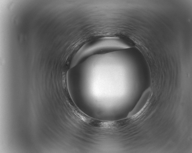 X0000067530192200604150235