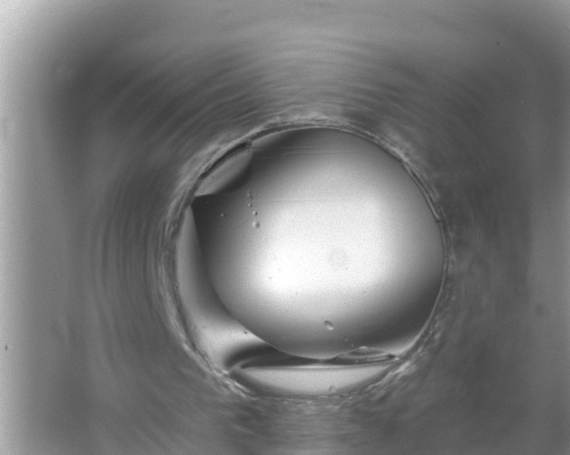 X0000067530193200604150234