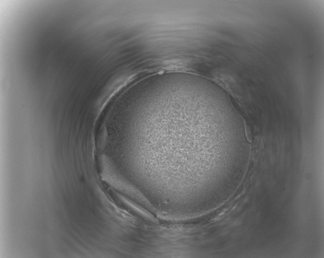 X0000067530194200604150234