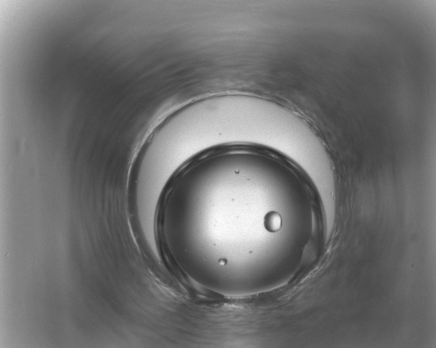 X0000067530195200604150234