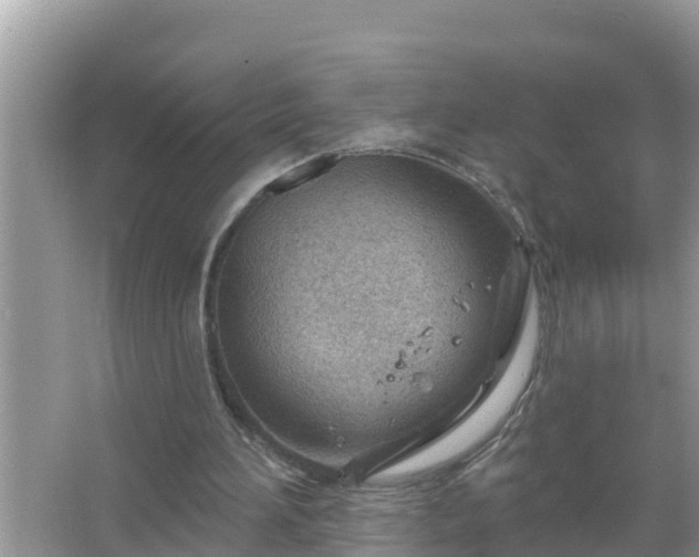 X0000067530196200604150234