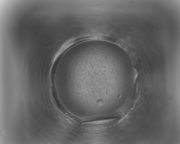 X0000067530198200604150234