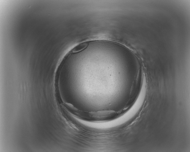 X0000067530200200604150234