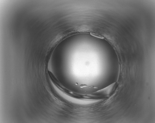 X0000067530201200604150234