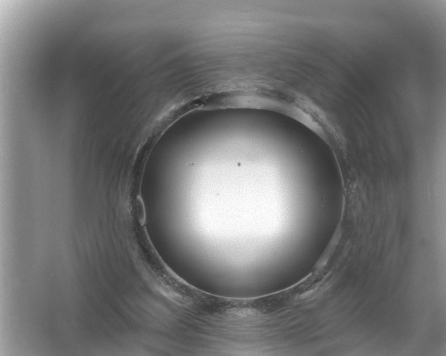 X0000067530203200604150234