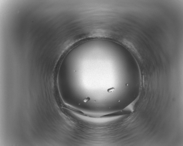 X0000067530204200604150234