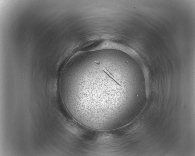 X0000067530206200604150234