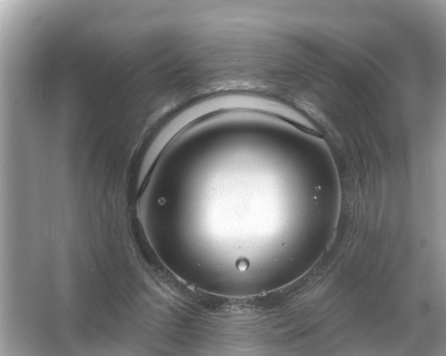 X0000067530207200604150234