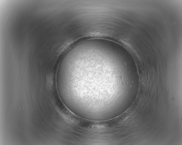 X0000067530208200604150234