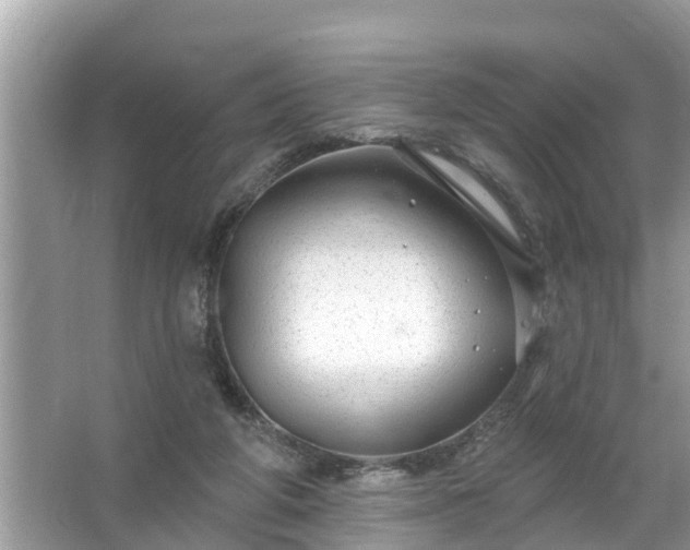 X0000067530210200604150234