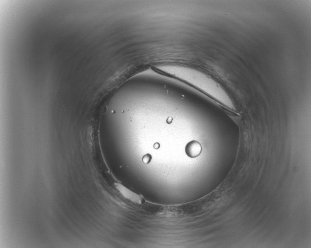 X0000067530211200604150234