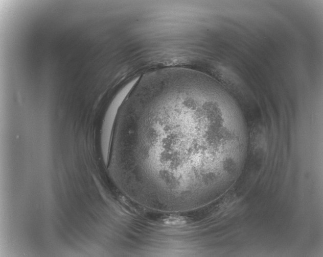 X0000067530214200604150234