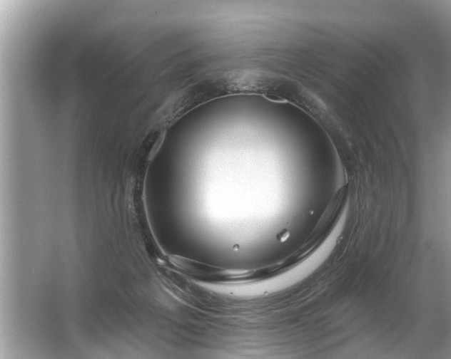 X0000067530217200604150234