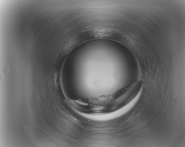 X0000067530219200604150234