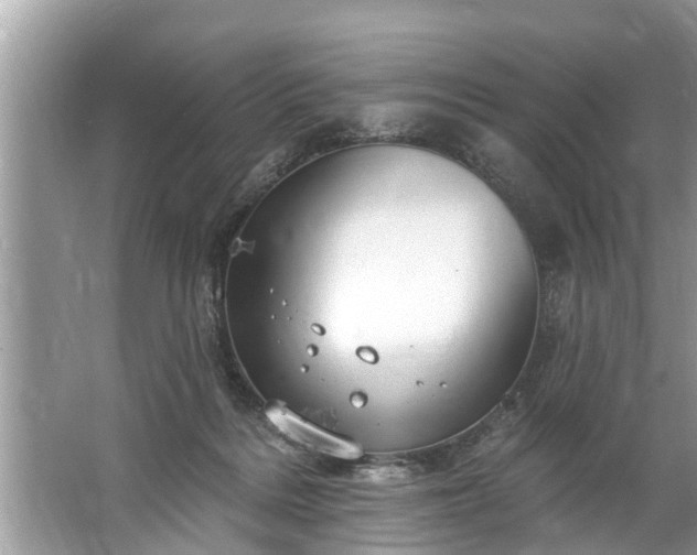 X0000067530220200604150234