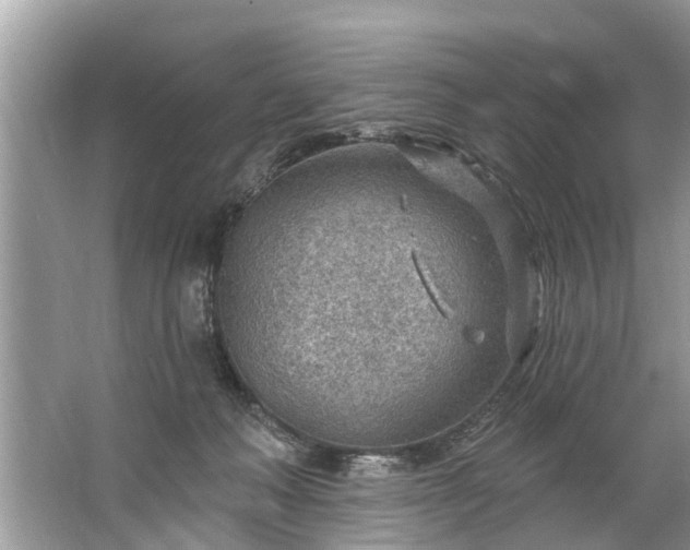 X0000067530222200604150234