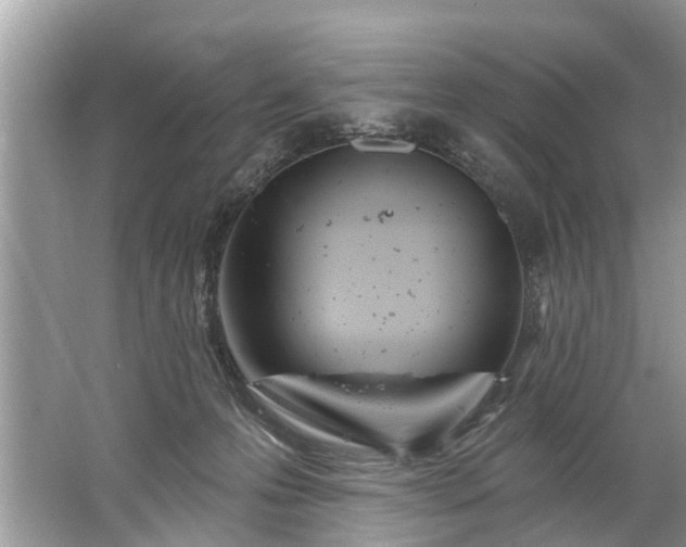 X0000067530223200604150234