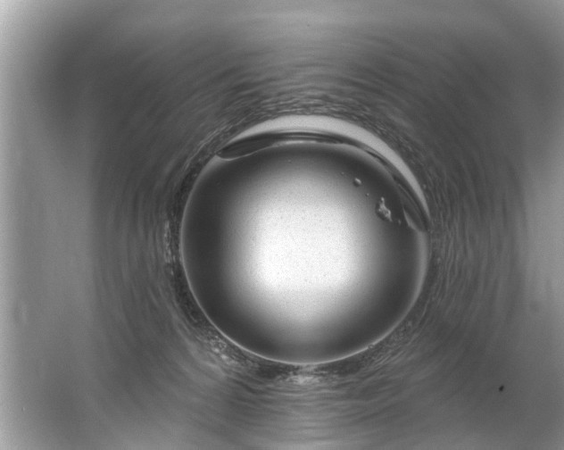 X0000067530224200604150234