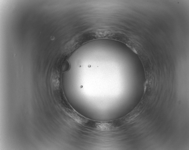 X0000067530226200604150234