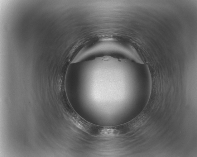 X0000067530227200604150234