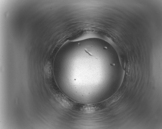 X0000067530228200604150234