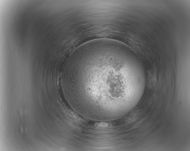 X0000067530230200604150234