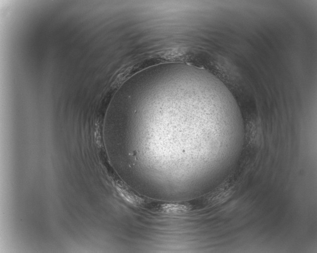 X0000067530234200604150233