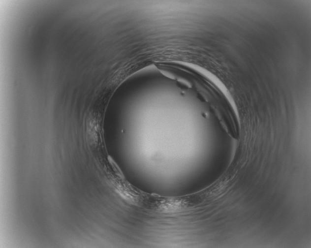 X0000067530235200604150233