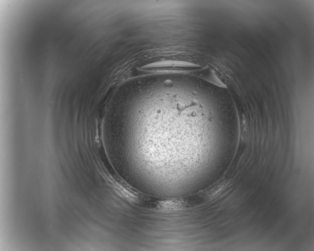 X0000067530238200604150233