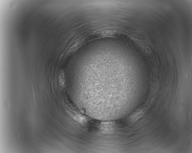 X0000067530240200604150233