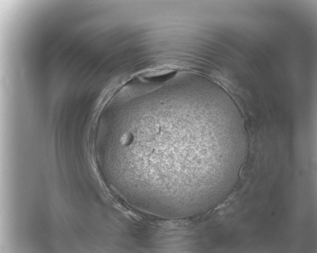 X0000067530241200604150233