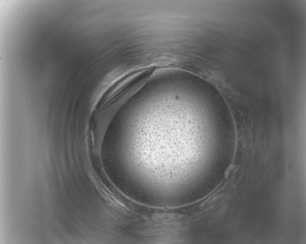 X0000067530242200604150233