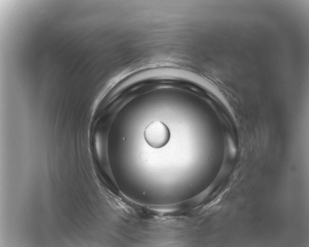 X0000067530244200604150233