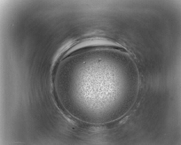 X0000067530245200604150233