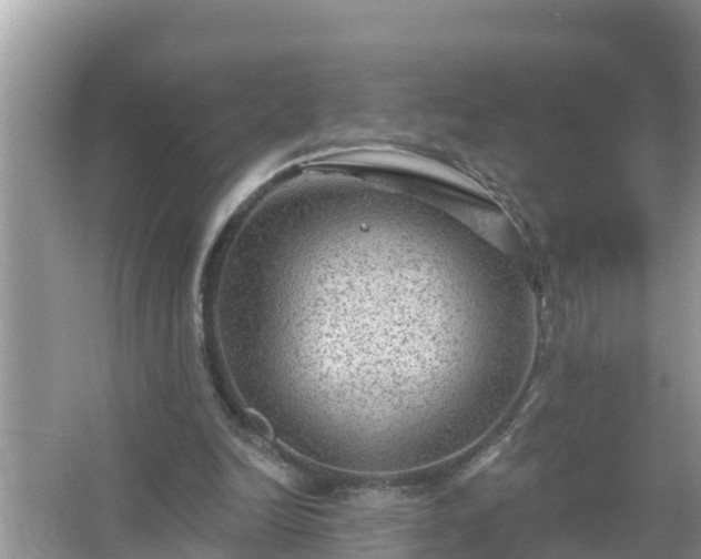 X0000067530246200604150233