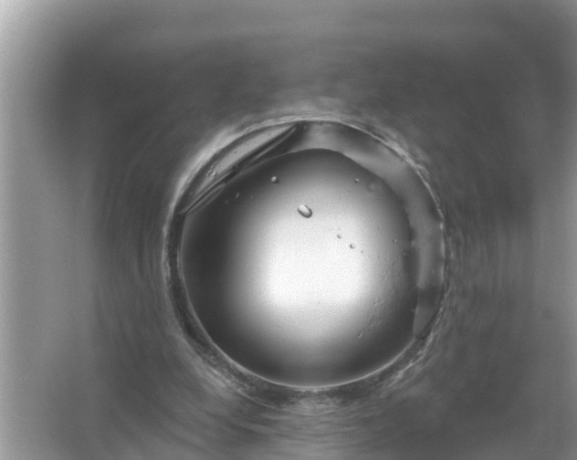 X0000067530248200604150233