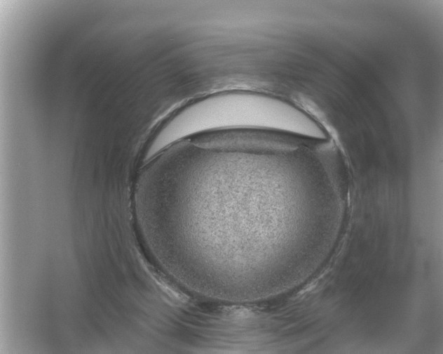 X0000067530249200604150233