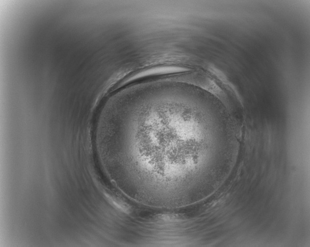 X0000067530250200604150233