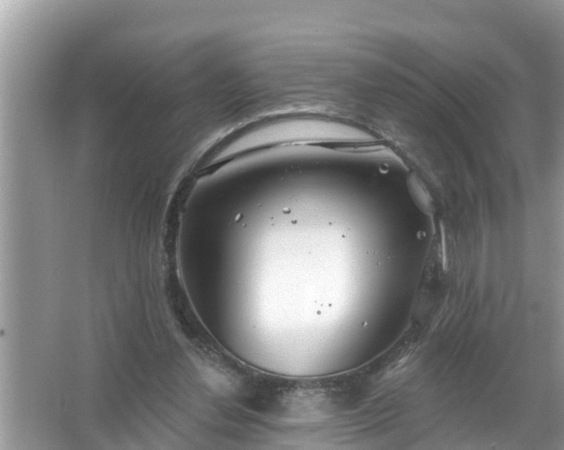 X0000067530252200604150233