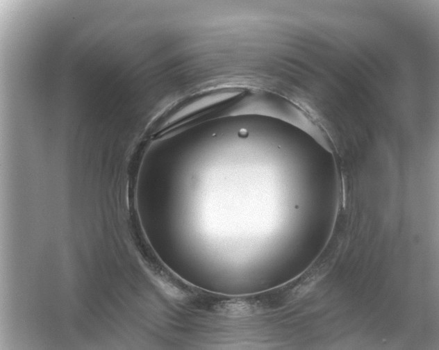 X0000067530253200604150233